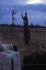 Watch Cowboy Christmas Zoechip