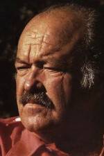 Watch The Return of Frank Cannon Zoechip