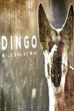 Watch Dingo Wild Dog at War Zoechip