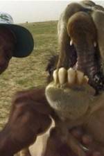 Watch With the Nomads Zoechip