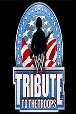 Watch WWE Tribute to the Troops Zoechip