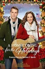 Watch A Homecoming for the Holidays Zoechip