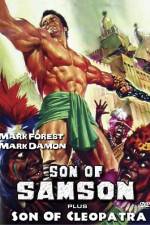 Watch Son of Samson Zoechip