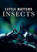 Watch Little Matters: Insects Zoechip