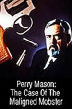 Watch Perry Mason: The Case of the Maligned Mobster Zoechip