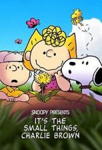 Watch Snoopy Presents: It's the Small Things, Charlie Brown (TV Special 2022) Zoechip
