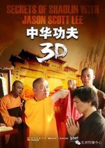 Watch Secrets of Shaolin with Jason Scott Lee Zoechip
