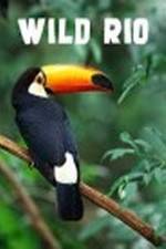 Watch Wild Rio Zoechip