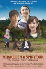 Watch Miracle in Kasama Zoechip