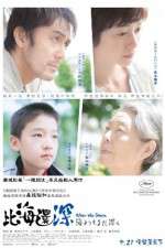 Watch After the Storm Zoechip