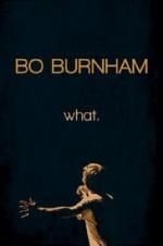 Watch Bo Burnham: what. Zoechip