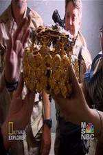 Watch Iraq's Lost Treasure Zoechip