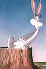 Watch The Unruly Hare Zoechip