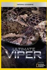 Watch National Geographic Ultimate Viper Zoechip