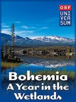 Watch Bohemia: A Year in the Wetlands Zoechip