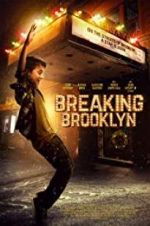 Watch Breaking Brooklyn Zoechip