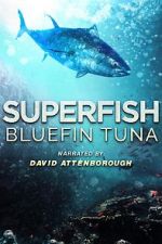 Watch Superfish Bluefin Tuna Zoechip