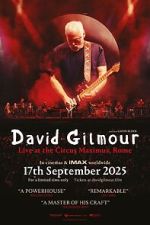 Watch David Gilmour Live at the Circus Maximus, Rome Zoechip