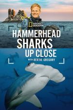 Watch Hammerhead Sharks Up Close with Bertie Gregory Zoechip