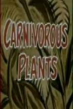 Watch Carnivorous Plants Zoechip