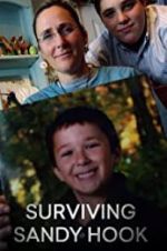 Watch Surviving Sandy Hook Zoechip