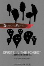 Watch Spirits in the Forest Zoechip