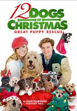 Watch 12 Dogs of Christmas: Great Puppy Rescue Zoechip