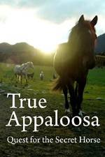 Watch True Appaloosa Zoechip