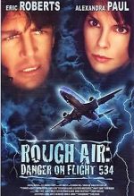 Watch Rough Air: Danger on Flight 534 Zoechip
