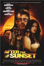 Watch After the Sunset Zoechip