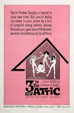 Watch Three in the Attic Zoechip
