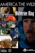 Watch National Geographic Wild America the Wild Wolverine King Zoechip
