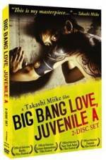 Watch Big Bang Love Juvenile A Zoechip