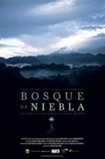 Watch The Cloud Forest Zoechip