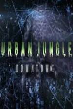 Watch National Geographic Wild Urban Jungle Downtown Zoechip