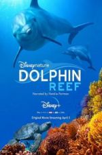 Watch Dolphin Reef Zoechip
