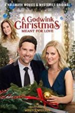 Watch A Godwink Christmas: Meant for Love Zoechip