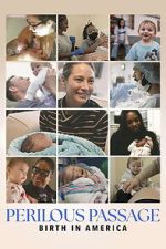 Watch Perilous Passage: Birth in America Zoechip