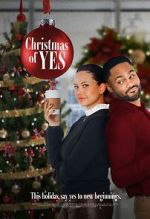 Watch Christmas of Yes Zoechip