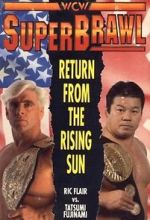 Watch WCW SuperBrawl I Zoechip