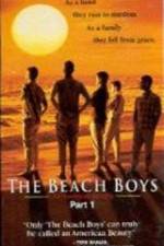 Watch The Beach Boys An American Family Zoechip