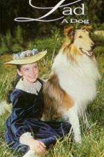 Watch Lad A Dog Zoechip