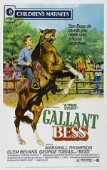 Watch Gallant Bess Zoechip