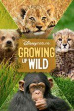 Watch Growing Up Wild Zoechip