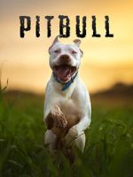 Watch Pitbull Zoechip