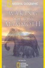 Watch Waking the Baby Mammoth Zoechip