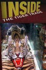 Watch Inside: The Tiger Trade Zoechip