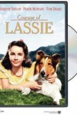 Watch Courage of Lassie Zoechip