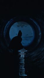 Watch Gwafi (Short 2022) Zoechip