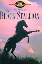 Watch The Black Stallion Zoechip